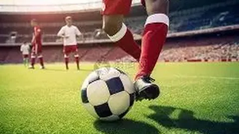 虞书欣家族企业执行金额达222万，曾称间接受害