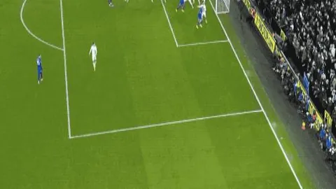 威尔逊十年十冠辉煌，喜提冠军荣耀与家人同庆盛事