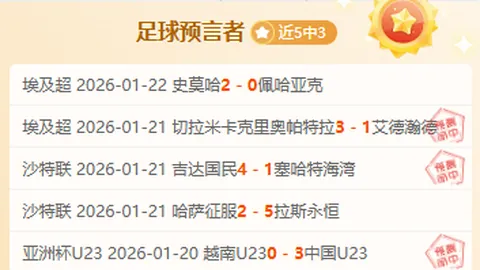 布鲁因逆势闪耀，穆诺兹巩固后防，里纳·贝尔加德转型之路回顾